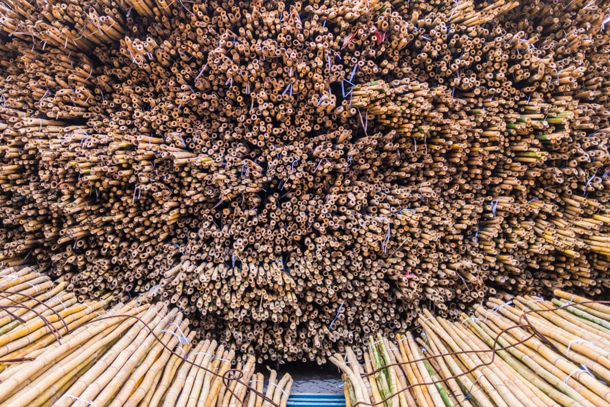 Aerial view of a massive pile of bundled bamboo scaffolding poles with workers visible