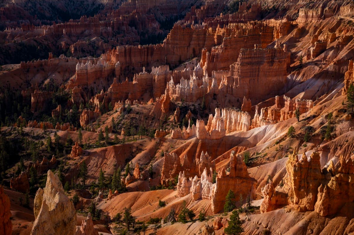 Hoodoo Garden