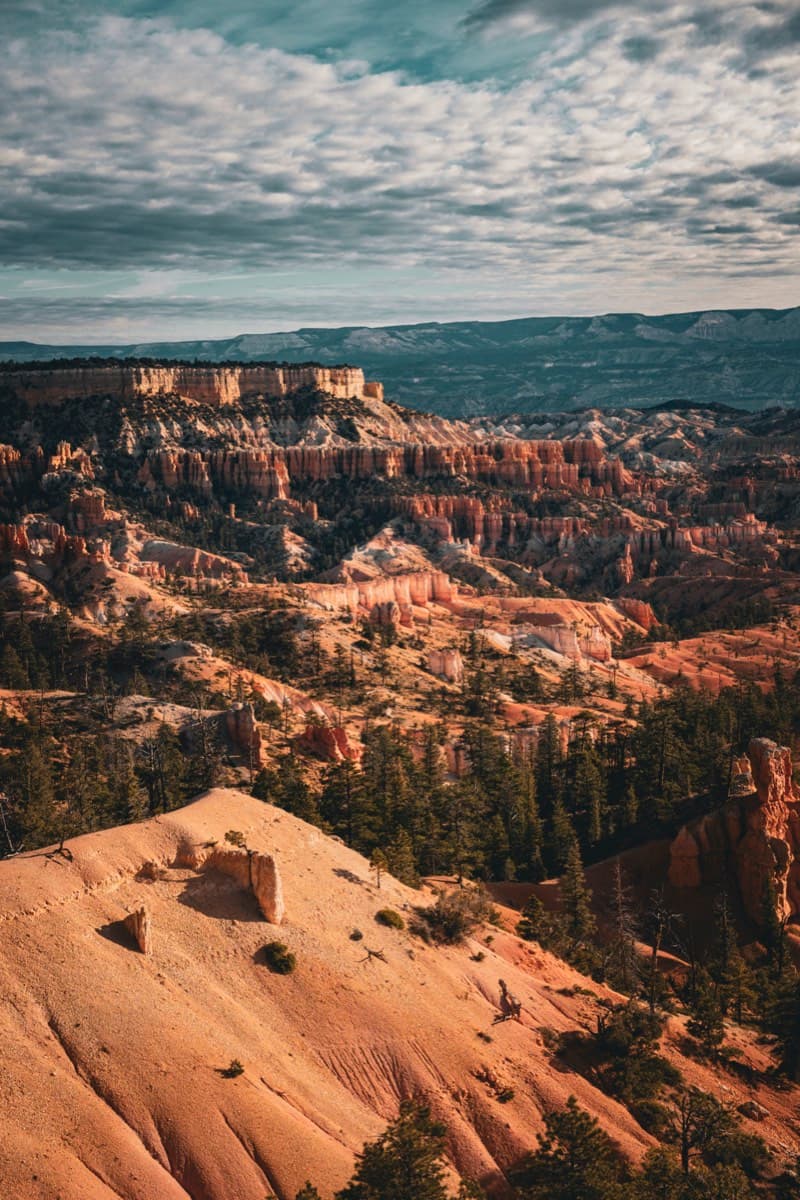 Bryce Overlook