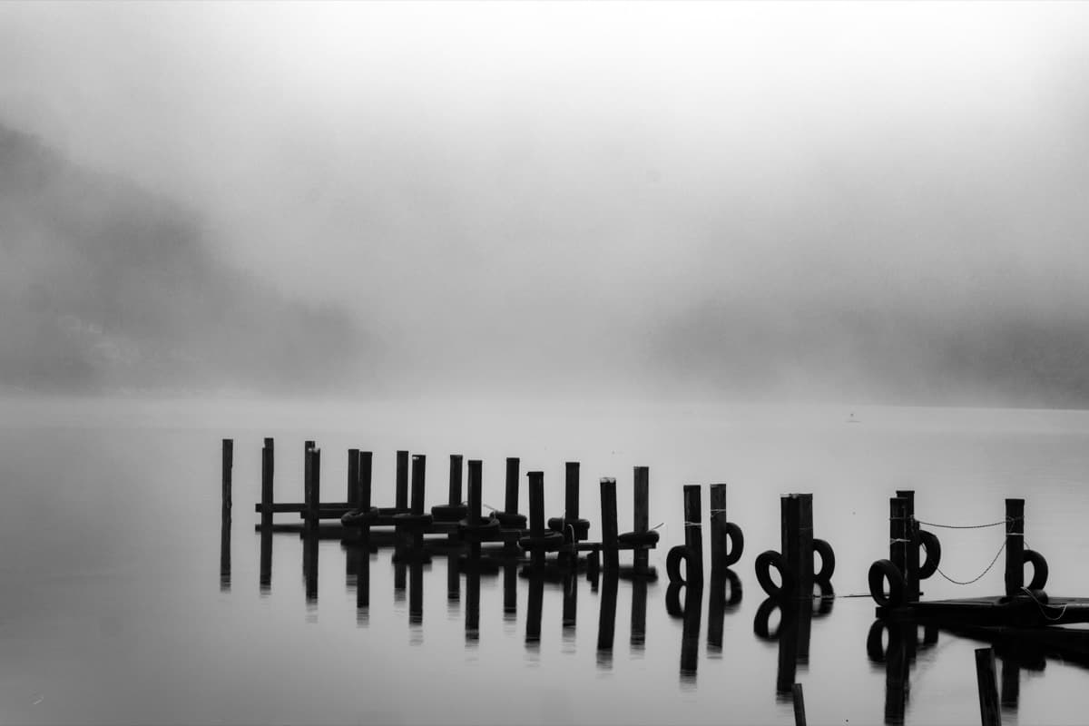 Pier Posts