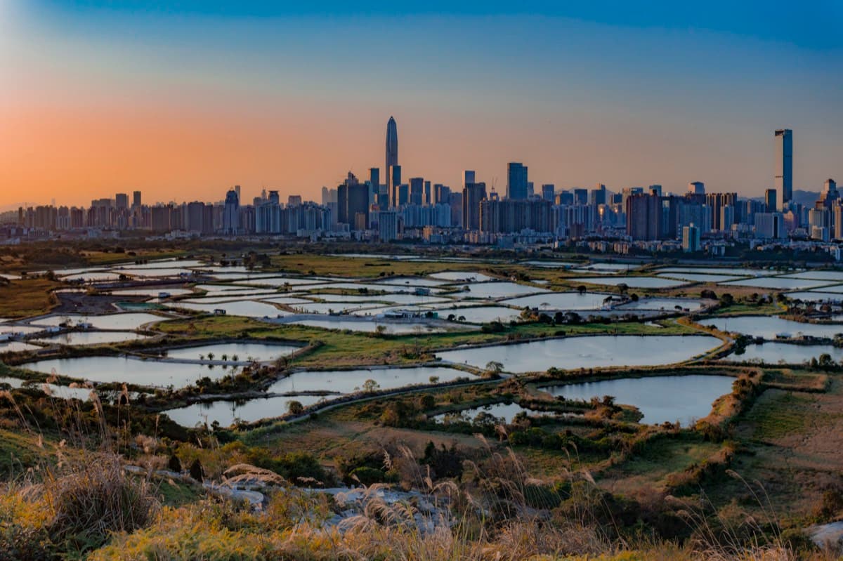 Shenzhen skyline with Ping An Finance Centre seen across fish ponds at sunset