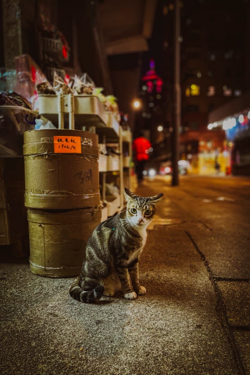 Night Watch